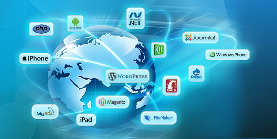 software solution, professional web design company, software design, software design companies, web designer, Cheap Rates, Provide web designing & development, web designing expert, offshore web designing